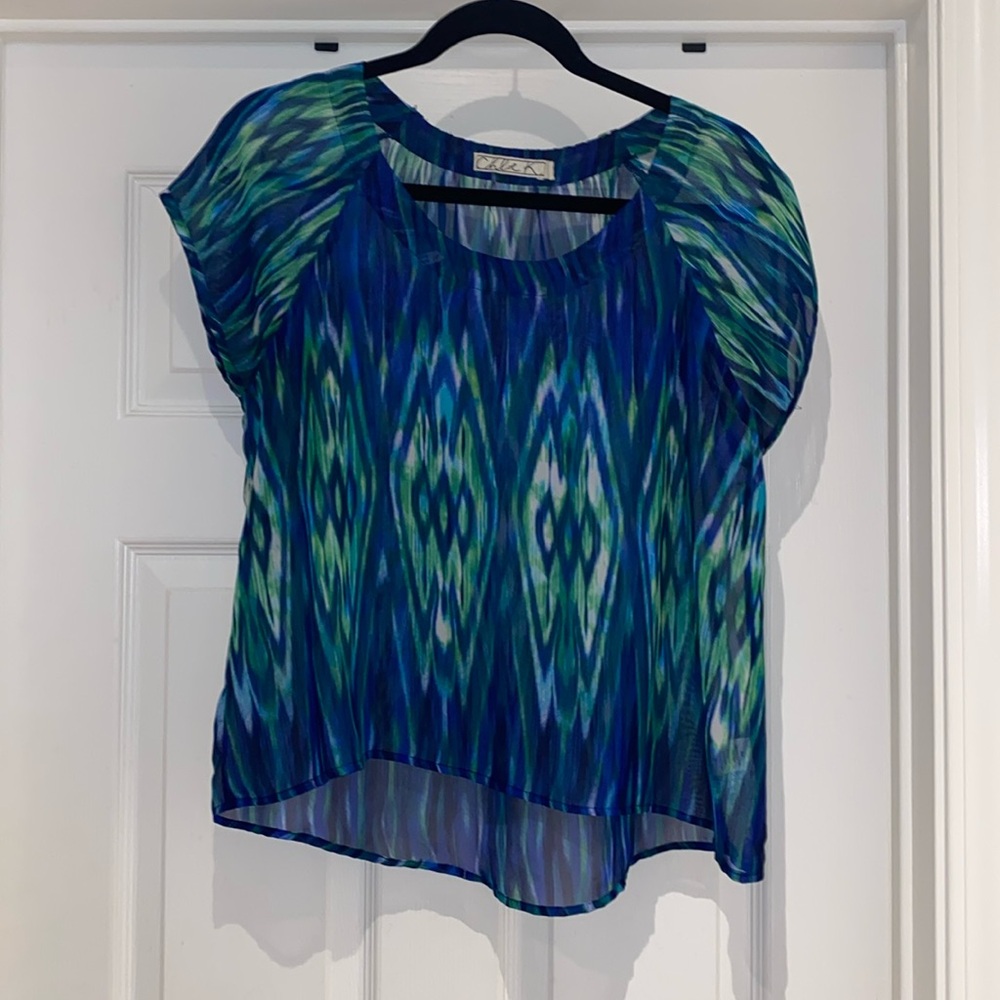 Sheer, cropped blouse